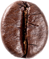 coffee bean